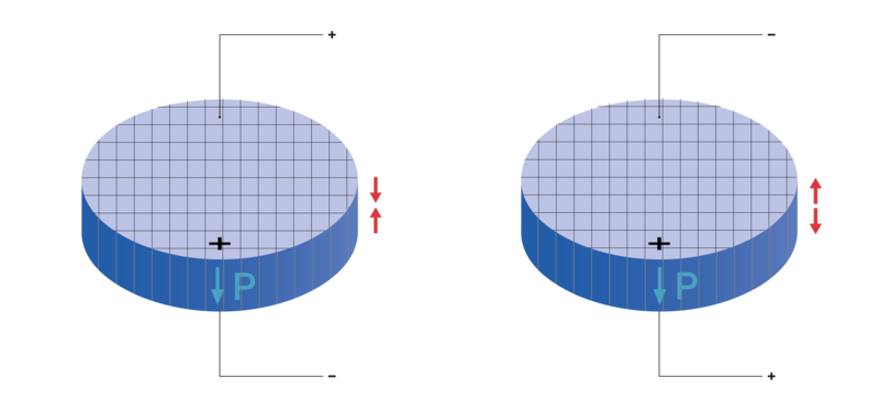 PI Ceramic 1-3 composite discs