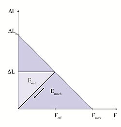 力学的エネルギー量