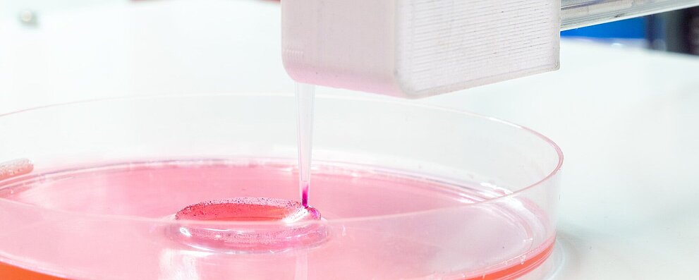 Physik Instrumente – 3D Bioprinting
